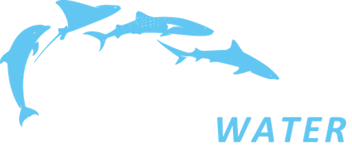 Stichting Life Below Water