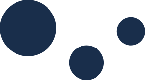 Stichting Loonwijzer/Wageindicator Foundation