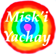 Stichting Miski- Onderwijs In Peru