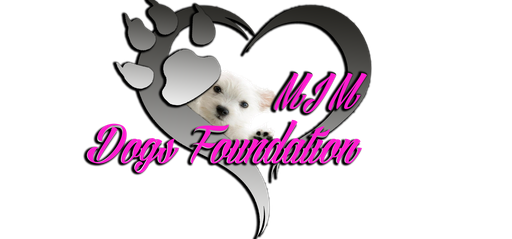 Stichting Mjm Dogs Foundation