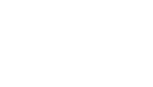 Stichting Museum Nieuwpoort