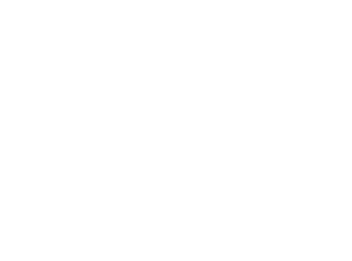 Stichting Museum Van De Geest- Het Dolhuys