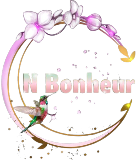 Stichting N. Bonheur