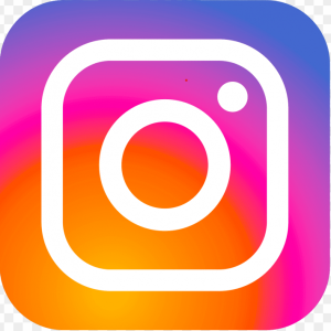 Stichting Naar School In Haiti