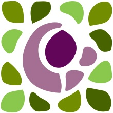 Stichting Nabestaan Na Zelfdoding Drenthe