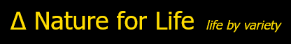 Stichting Nature For Life Foundation