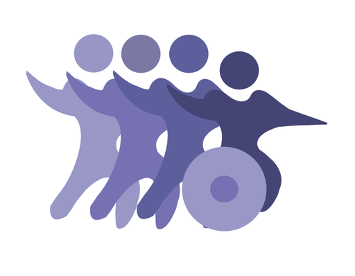 Stichting Nazorg Sport Gehandicapten (Snsg)