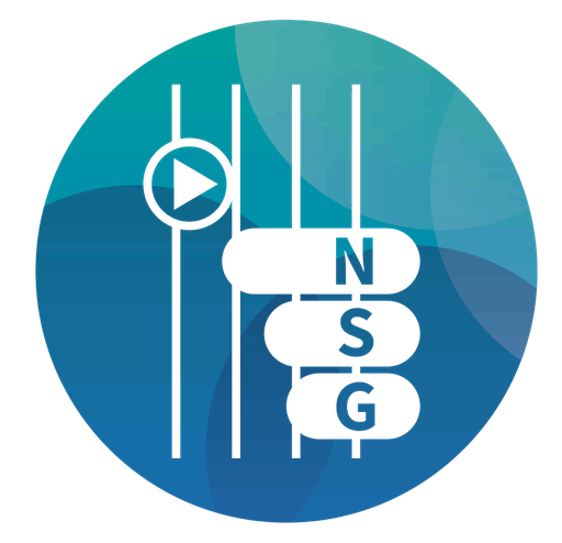 Stichting Nederlands Strijkers Gilde (Nsg)