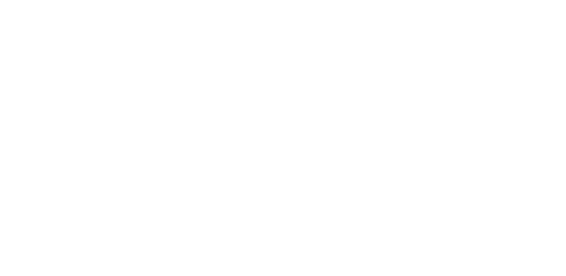 Stichting Netwerk Sociale Gasten