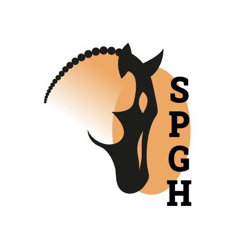 Stichting Paardrijden Gehandicapten Hardenberg En Omstreken