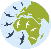 Stichting Palearctisch Trekvogel- Onderzoek- Mlsg