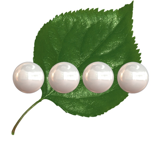 Stichting Parelfair Oisterwijk