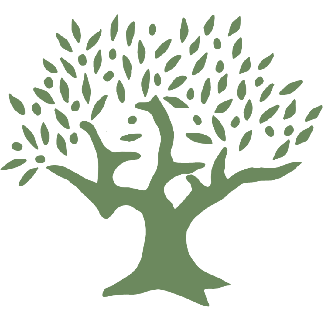 Stichting Plant een Olijfboom logo