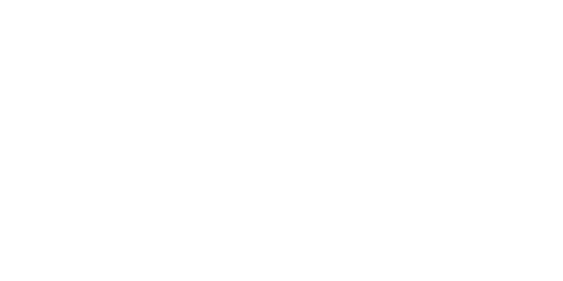 Stichting Plusbus Halsteren- Lepelstraat