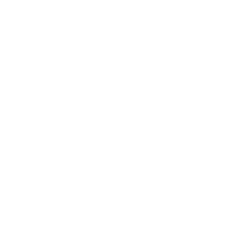 Stichting Promising Young People