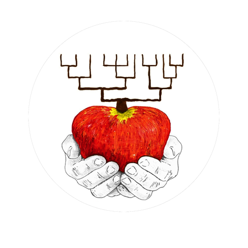 Stichting Re- Generatie