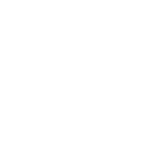 Stichting Rightaboutnow Inc.