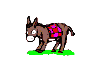 Stichting Salba Nos Burico (Donkey Sanctuary Aruba)