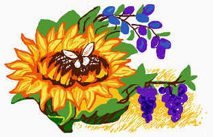 Stichting Santackergaard