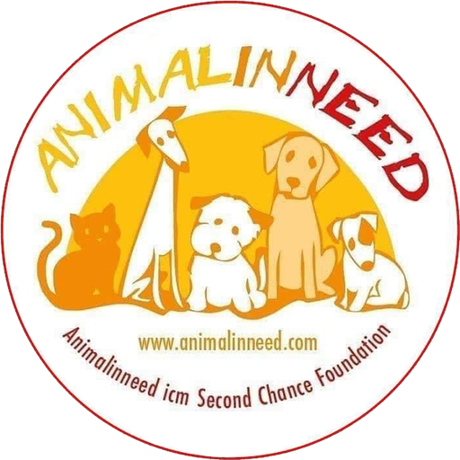 Stichting Second Chance Foundation Nederland