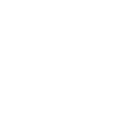 Stichting Solidair Met India