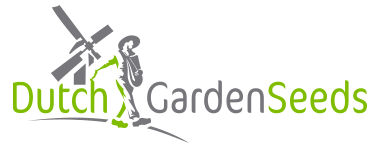 Stichting Steenbreekkatwijk