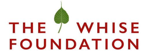 Stichting The Whise Foundation