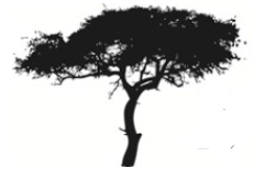 Stichting The2 Nd Chapter Of Acts