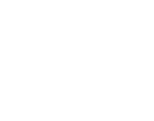 Stichting Theatergroep Aluin