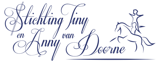 Stichting Tiny En Anny Van Doorne Fonds