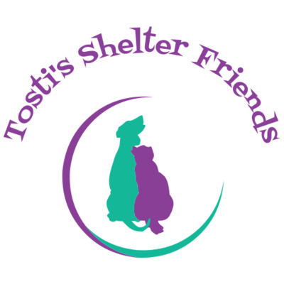 Stichting Tosti 'SShelter Friends