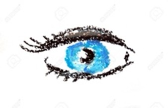 Stichting Tot Steun Aan Zeeuwse Blinden En Slechtzienden