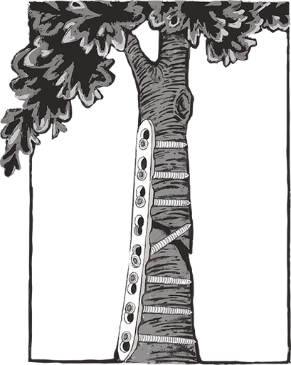 Stichting Traumaplatform