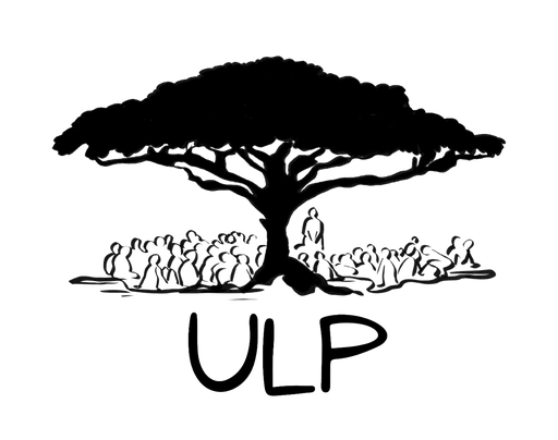 Stichting Ubuntu Leadership Program