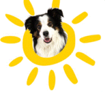 Stichting Victor Fonds