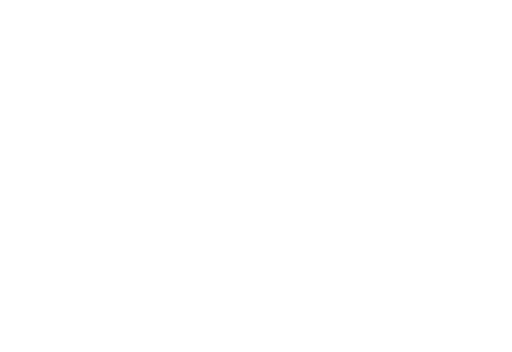 Stichting Vida Kampen