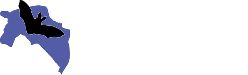 Stichting Vleermuizenopvang Adorp