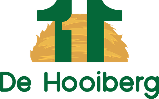 Stichting Vrienden Van De Hooiberg