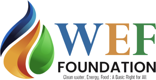 Stichting Water- Energy- Food For All