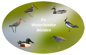 Stichting Waterlandse Weiden