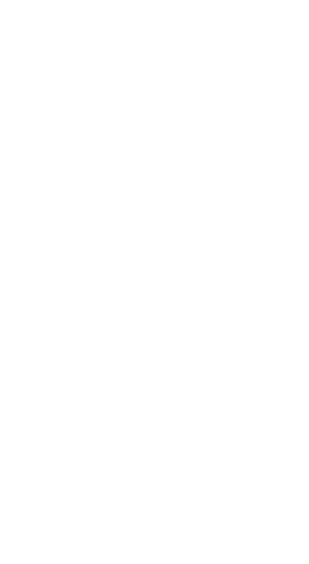 Stichting Widows And Orphans Development