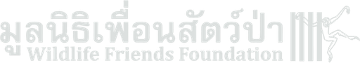 Stichting Wildlife Friends International