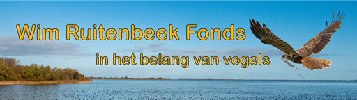 Stichting Wim Ruitenbeek Fonds