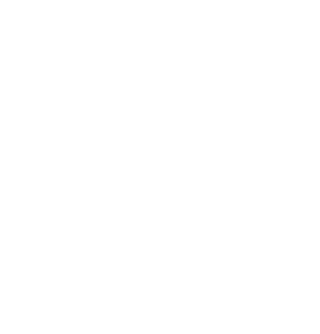 Stichting Zambian Schools First