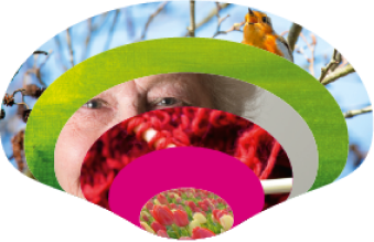 Stichting Zorggroep Groningen