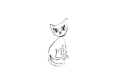 Stichting Zwerfkatten Havengebied Ijmuiden