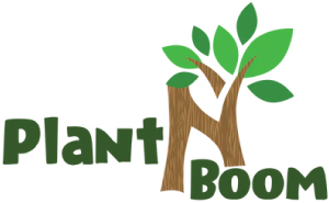 Stichting4 Smiling Faces