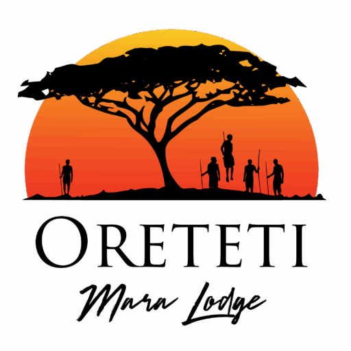 The Style Foundation