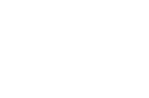 Vereniging Wereld Federalisten Beweging Nederland